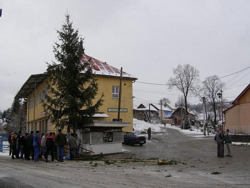 Stavanie Vianočného stromčeka, Vianoce 2008